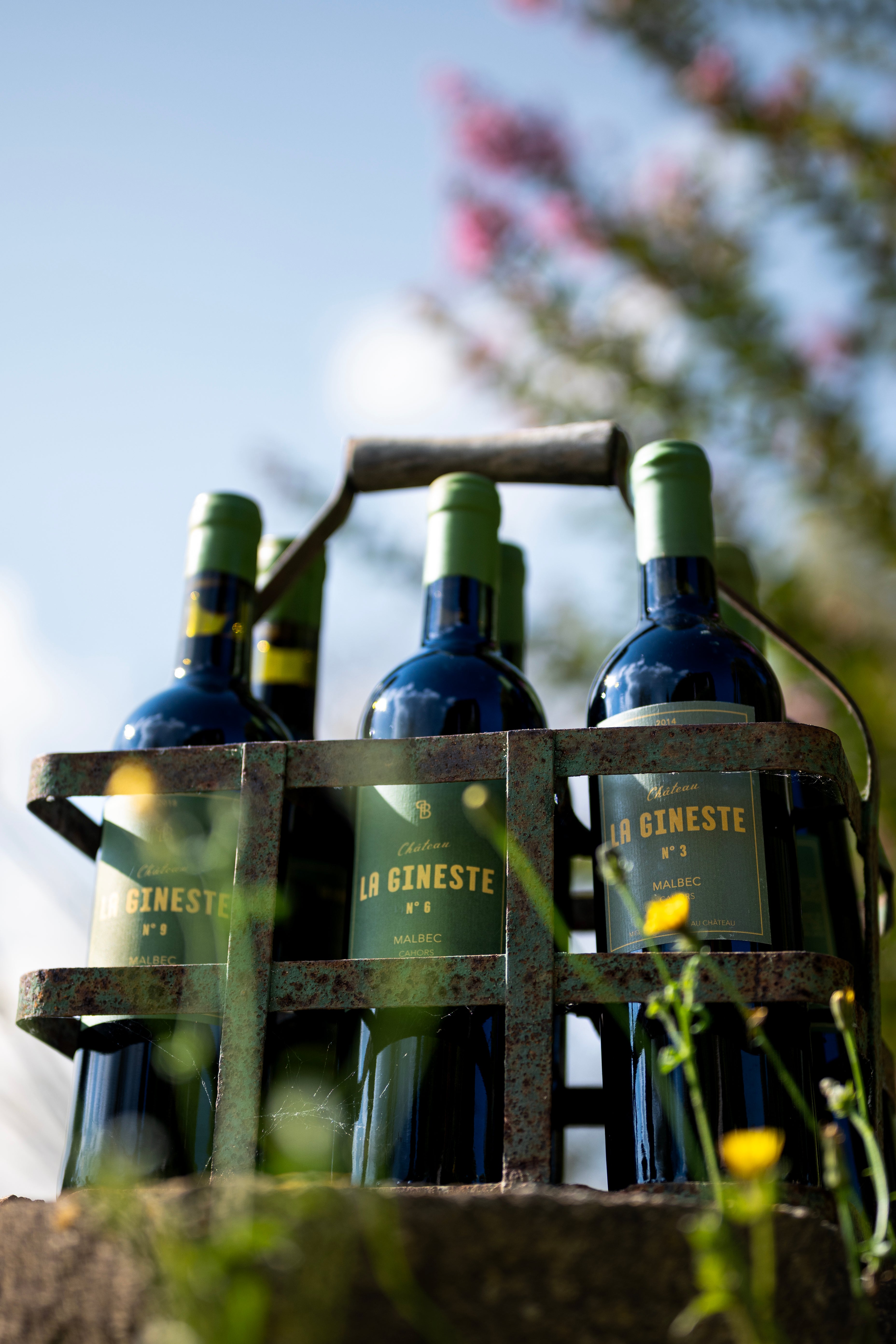 Tasting Case: AGEING VARIETIES